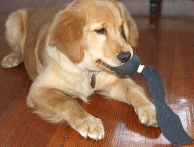 你的另一半的奇葩行为有哪些？第2张