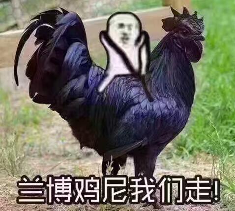 这些车不仅男生钟爱女生也喜欢第20张