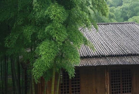 天气热情侣到哪里去约会,夏天情侣约会地点攻略