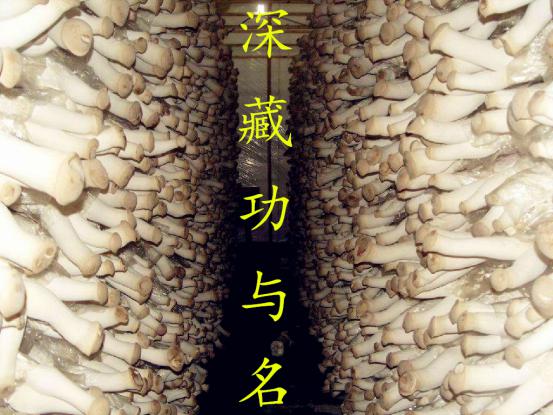 办公室女神与她的男同事第11张