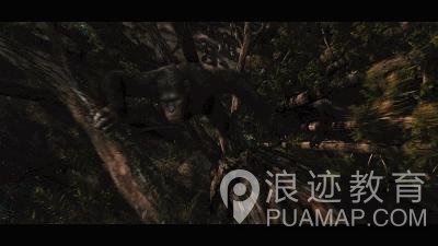觉得金刚比男朋友好的请进来第1张