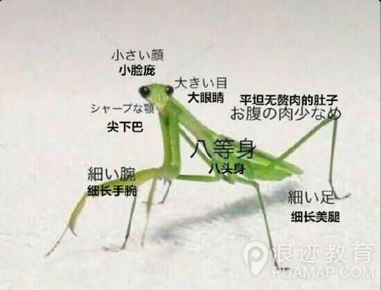 网红脸、超模脸、处女脸，你最爱的是哪种脸第20张