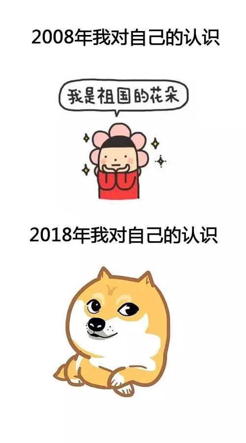 一套表情包告诉你10年时间究竟对我这个小可爱做了什么第1张