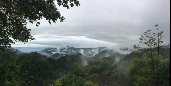 夜访青城山，她点燃一支香烟，想看清未来第24张