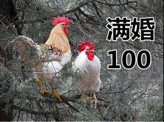 电音节第一次去怎么玩,要注意些什么才不那么傻缺?第29张