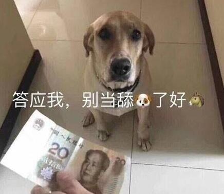 如何做回自己不做舔狗？第1张