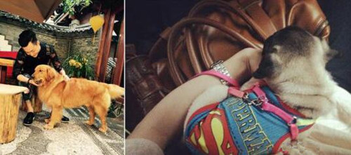 如何打造朋友圈展示面吸引女生?第5张