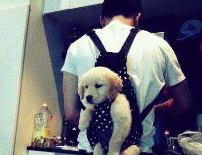 如何建设朋友圈展示面吸引女生?第5张