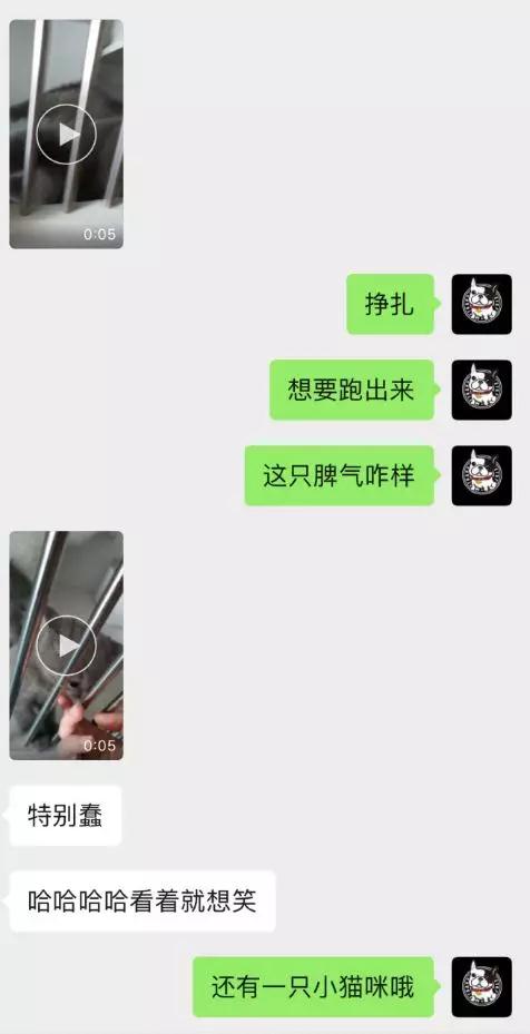 如何通过聊天判断女生对你的好感度？第7张