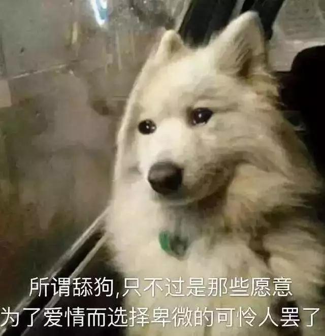 单身男性必看的撩妹聊天套路，学会的人都脱单了！第10张