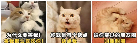 两性关系中，女生最看重男生的哪些方面？第6张