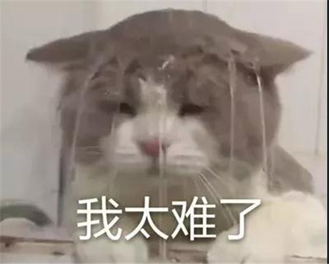 卖家秀和买家秀，女人买买买的1000种翻车现场第2张