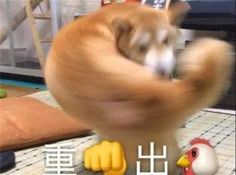 年轻人过年自救手册第15张