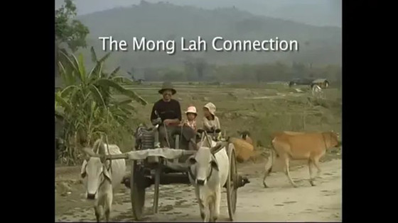 缅甸的野味集市：非法贸易的野生动物价值已经仅次于毒品和军