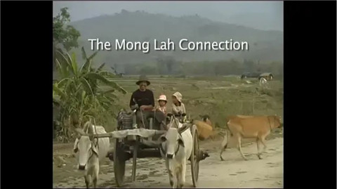 缅甸的野味集市：非法贸易的野生动物价值已经仅次于毒品和军第1张