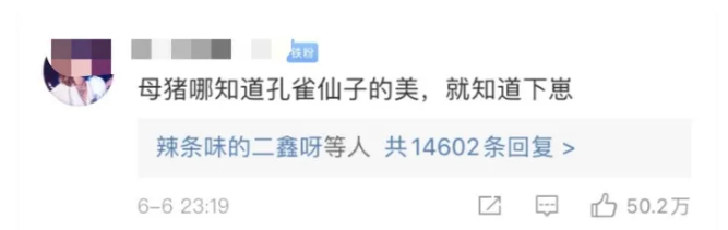 杨丽萍被骂上热搜，女人最大的失败是没有子女？第2张