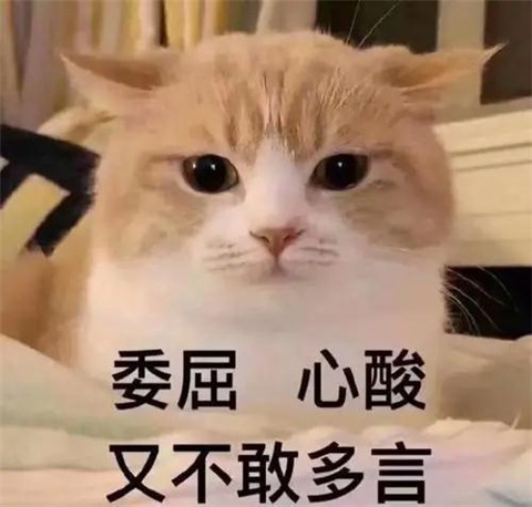 关爱小三协会：脱衣调情，老娘无罪第23张