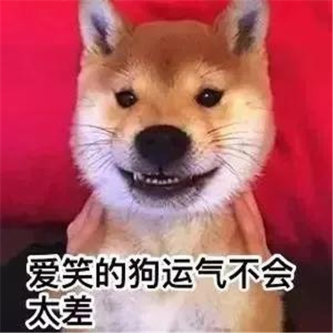 关爱小三协会：脱衣调情，老娘无罪第28张