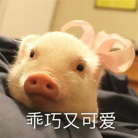 关爱小三协会：脱衣调情，老娘无罪第30张
