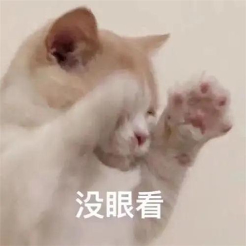 关爱小三协会：脱衣调情，老娘无罪第9张