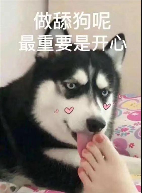 为什么不能无限度宠女生？第3张