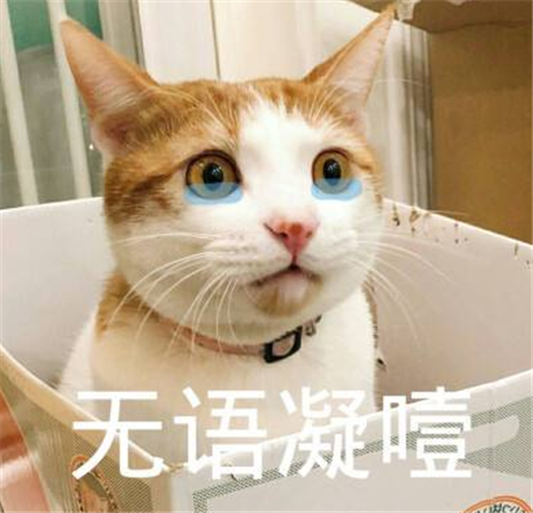 网红鼻祖逆天改命：资产上亿，至今单身，她经历了什么？第20张