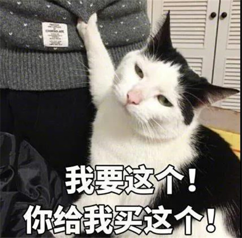 听说你们都喜欢女装大佬？第31张