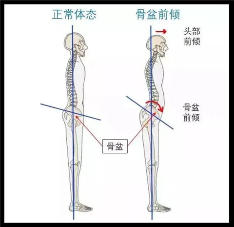 前凸后翘，这才是男人眼中的“性感尤物”！第10张