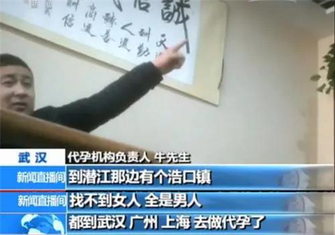 代孕之殇：揭秘代孕的地下产业链第12张