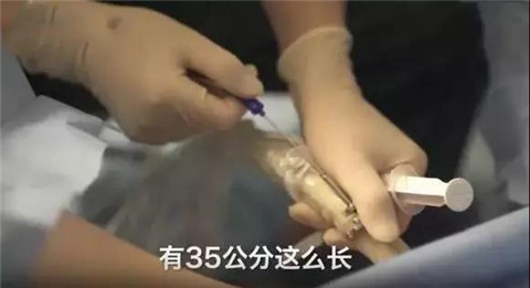 代孕之殇：揭秘代孕的地下产业链第7张