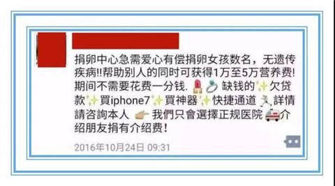 代孕之殇：揭秘代孕的地下产业链第5张