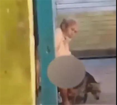 印度男人为什么总爱性侵动物？	