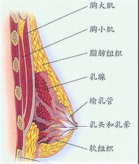 中国女生的胸，是如何被骗大的？第9张