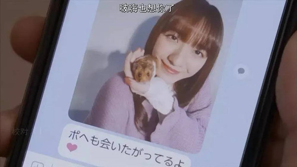 那些探探上的女孩丨百分百约会指南第1张